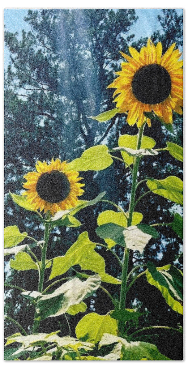 Sunflowers Reaching Towards the Sky - Beach Towel