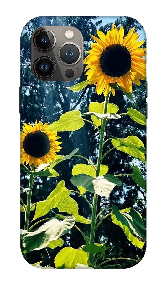 Sunflowers Reaching Towards the Sky - Phone Case