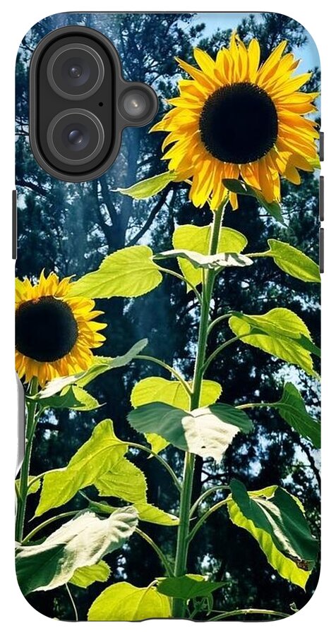 Sunflowers Reaching Towards the Sky - Phone Case