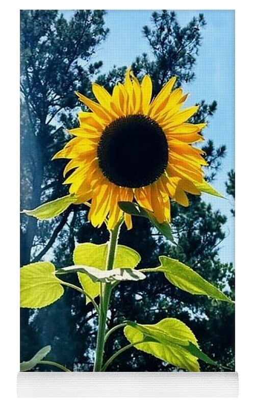 Sunflowers Reaching Towards the Sky - Yoga Mat