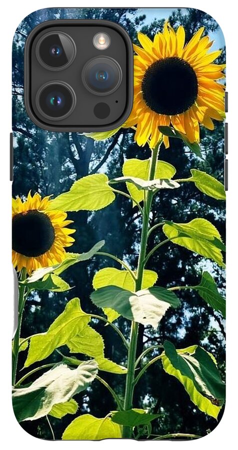 Sunflowers Reaching Towards the Sky - Phone Case