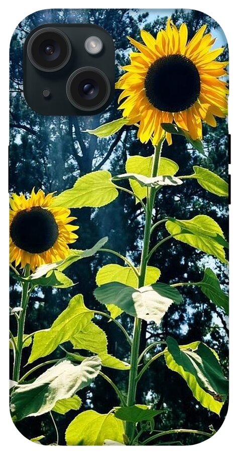Sunflowers Reaching Towards the Sky - Phone Case