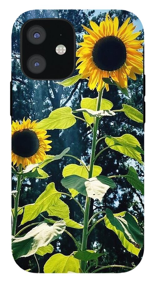 Sunflowers Reaching Towards the Sky - Phone Case