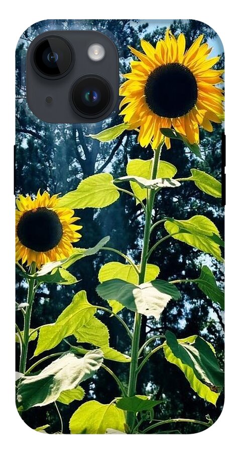 Sunflowers Reaching Towards the Sky - Phone Case