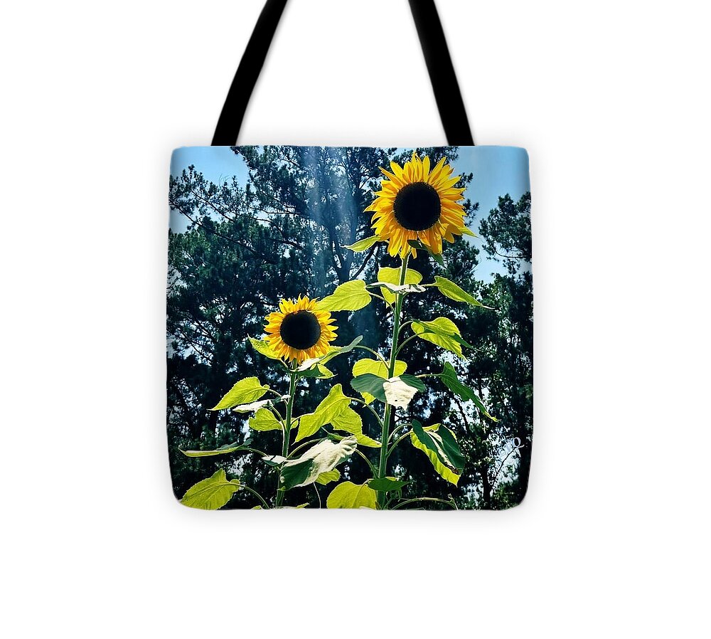 Sunflowers Reaching Towards the Sky - Tote Bag