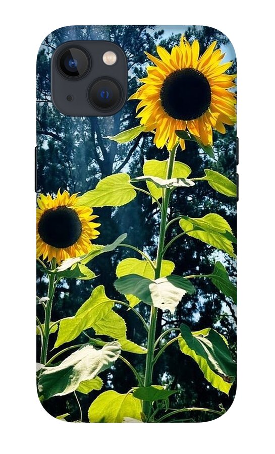 Sunflowers Reaching Towards the Sky - Phone Case