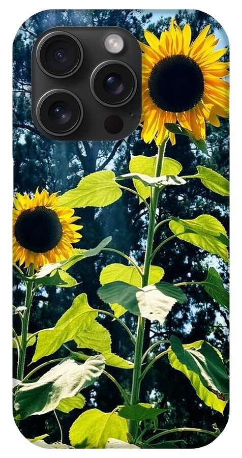 Sunflowers Reaching Towards the Sky - Phone Case