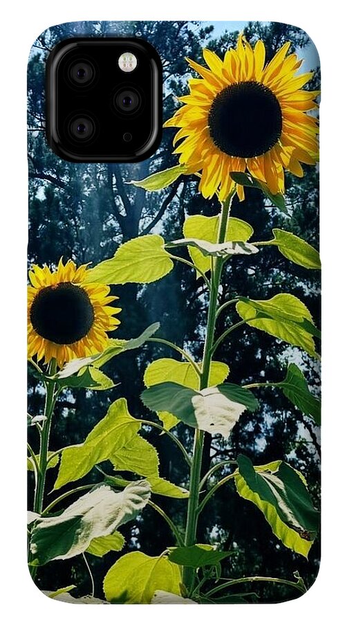 Sunflowers Reaching Towards the Sky - Phone Case