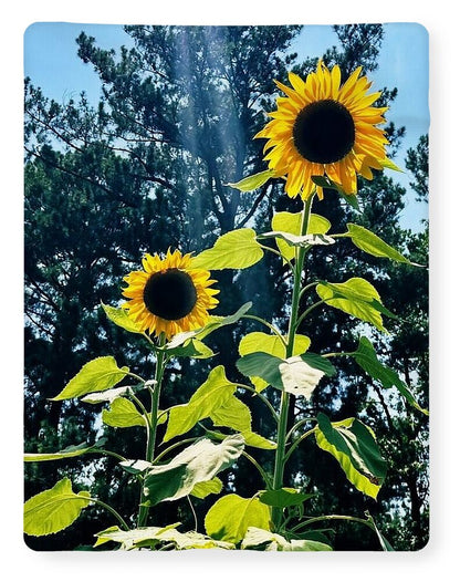 Sunflowers Reaching Towards the Sky - Blanket