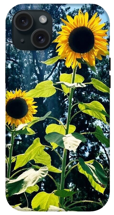 Sunflowers Reaching Towards the Sky - Phone Case