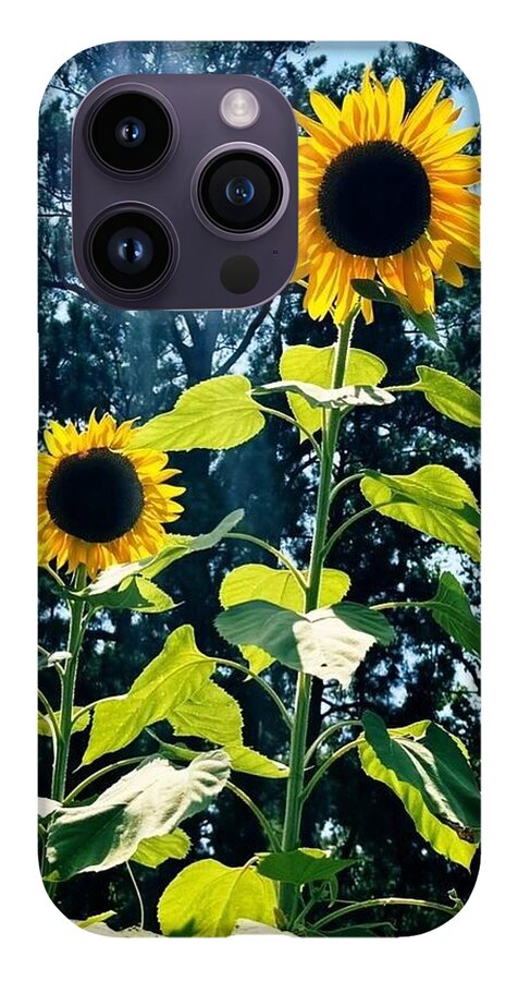 Sunflowers Reaching Towards the Sky - Phone Case