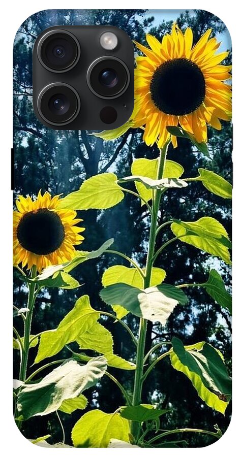 Sunflowers Reaching Towards the Sky - Phone Case