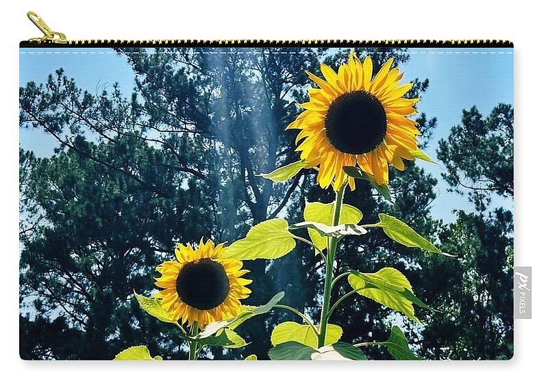 Sunflowers Reaching Towards the Sky - Zip Pouch