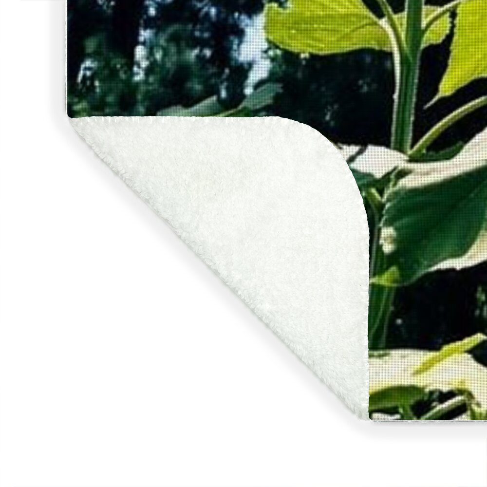 Sunflowers Reaching Towards the Sky - Blanket