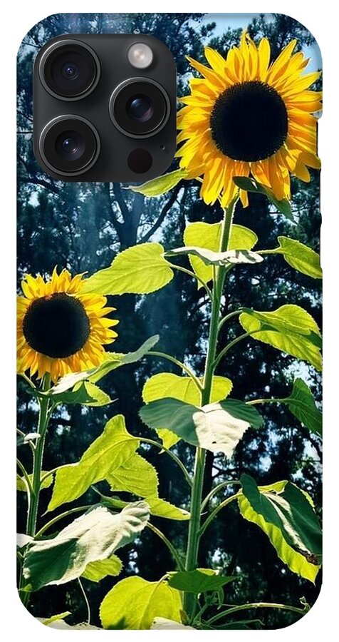 Sunflowers Reaching Towards the Sky - Phone Case