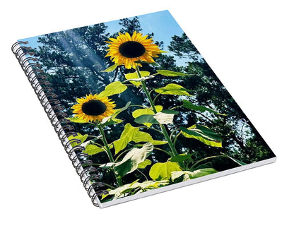 Sunflowers Reaching Towards the Sky - Spiral Notebook