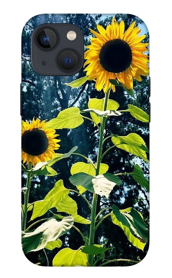 Sunflowers Reaching Towards the Sky - Phone Case