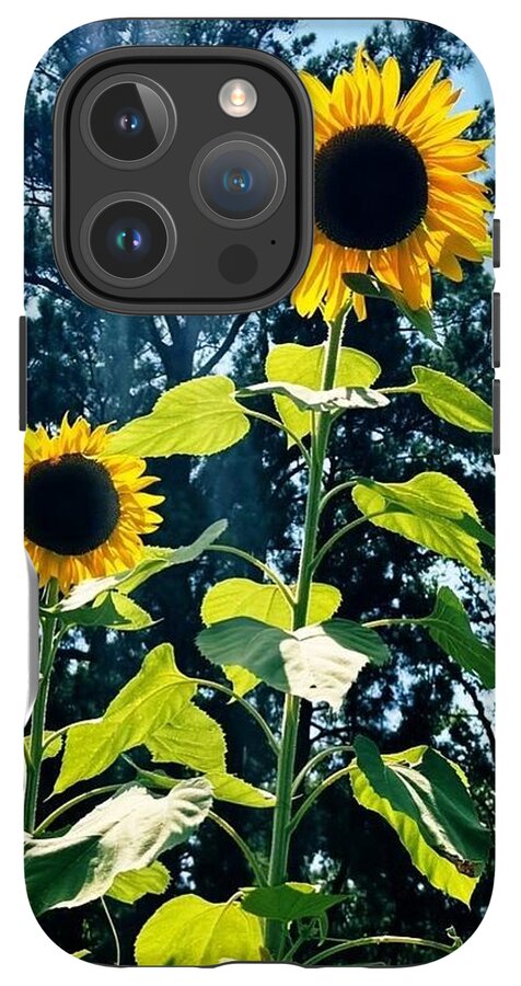 Sunflowers Reaching Towards the Sky - Phone Case