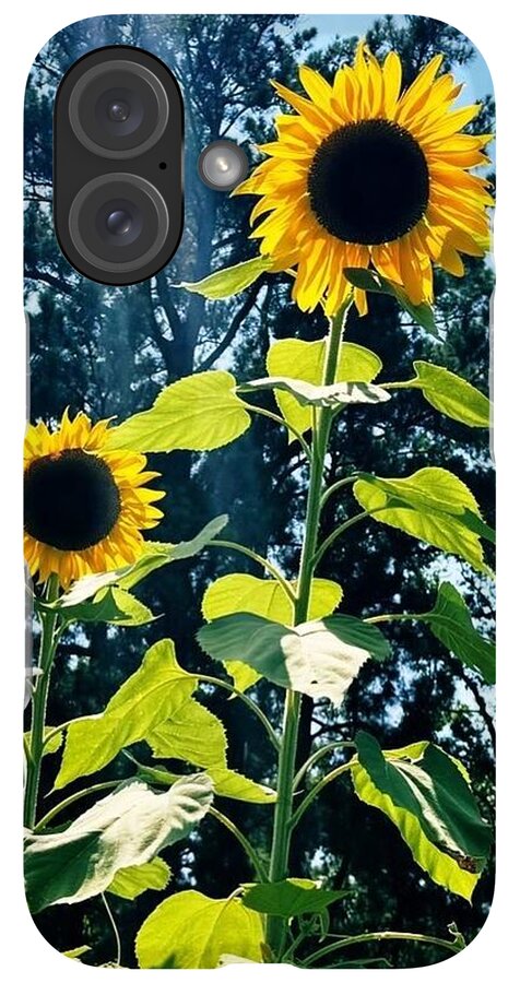Sunflowers Reaching Towards the Sky - Phone Case