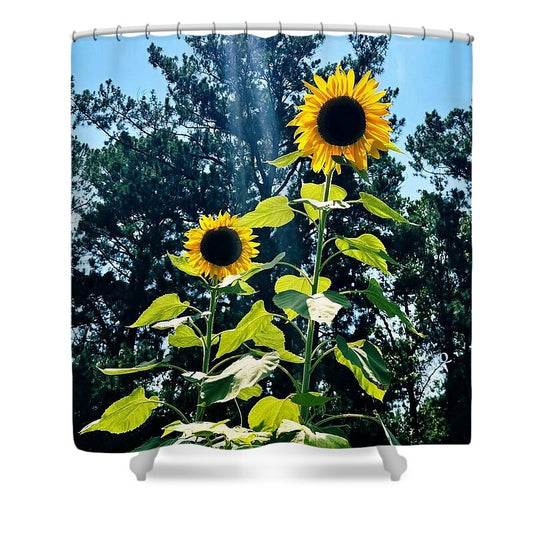 Sunflowers Reaching Towards the Sky - Shower Curtain