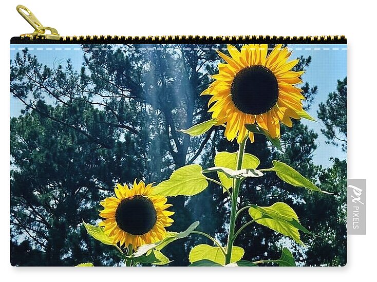 Sunflowers Reaching Towards the Sky - Zip Pouch