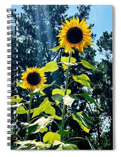 Sunflowers Reaching Towards the Sky - Spiral Notebook