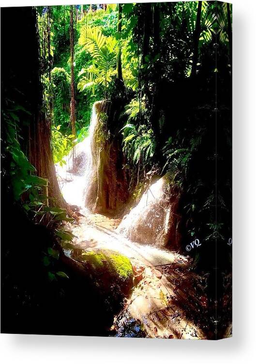 Sunlit Jungle Waterfall - Canvas Print