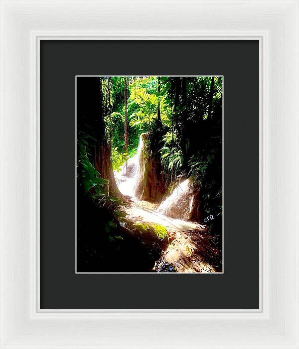 Sunlit Jungle Waterfall - Framed Print