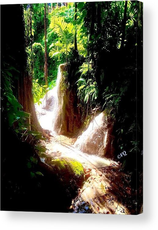 Sunlit Jungle Waterfall - Acrylic Print