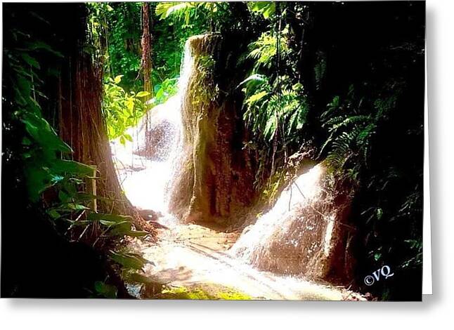 Sunlit Jungle Waterfall - Greeting Card