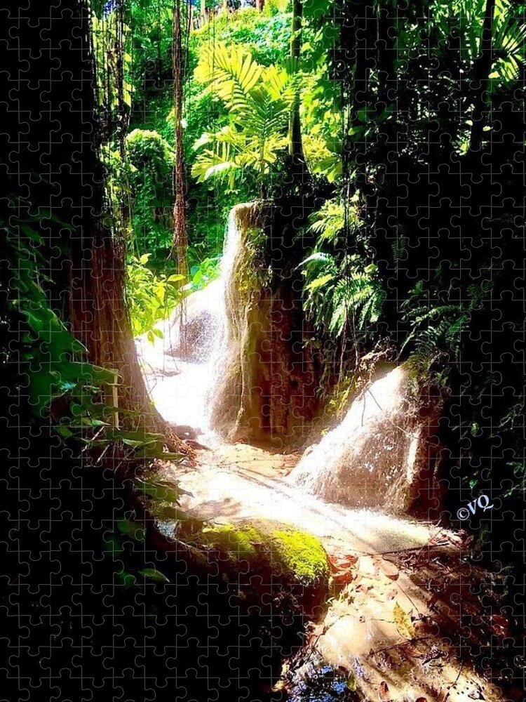 Sunlit Jungle Waterfall - Puzzle