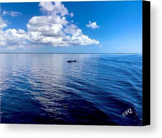 Tranquil Waters with Dolphin - Canvas Print
