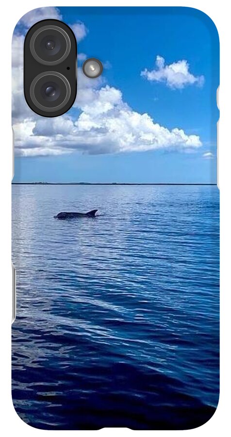 Tranquil Waters with Dolphin - Phone Case