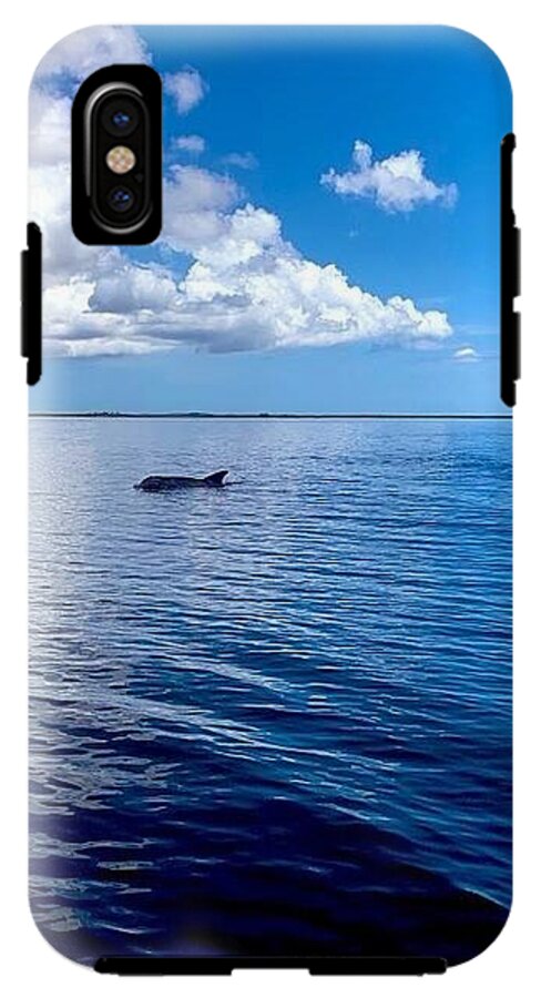 Tranquil Waters with Dolphin - Phone Case