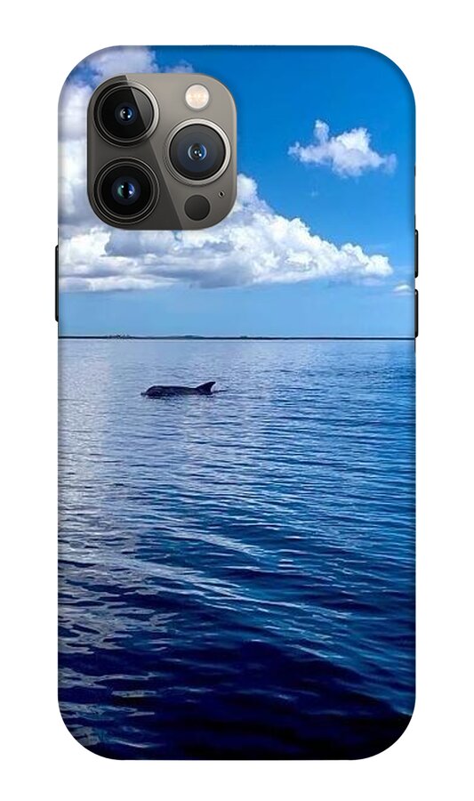 Tranquil Waters with Dolphin - Phone Case