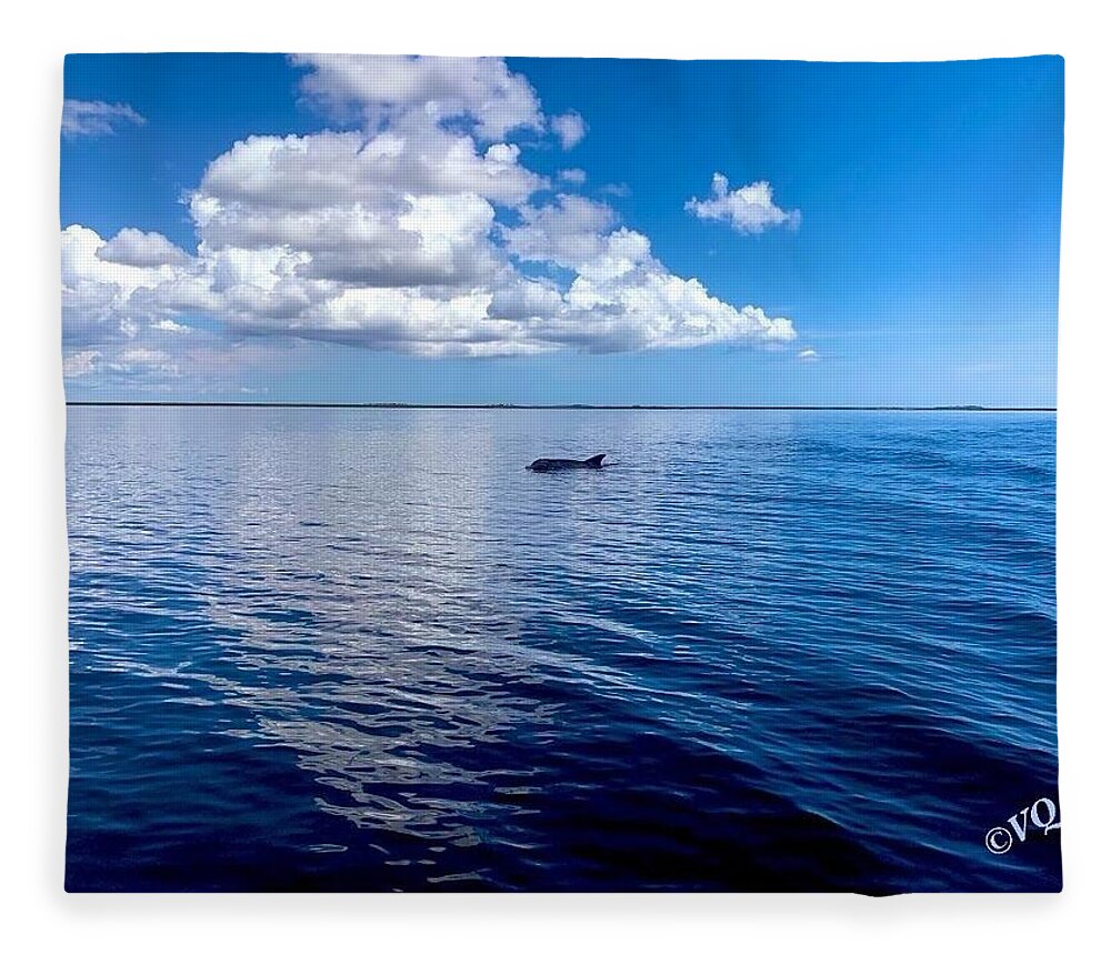 Tranquil Waters with Dolphin - Blanket