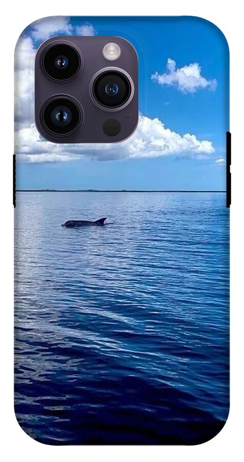 Tranquil Waters with Dolphin - Phone Case