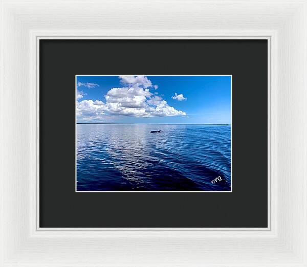 Tranquil Waters with Dolphin - Framed Print