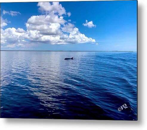 Tranquil Waters with Dolphin - Metal Print