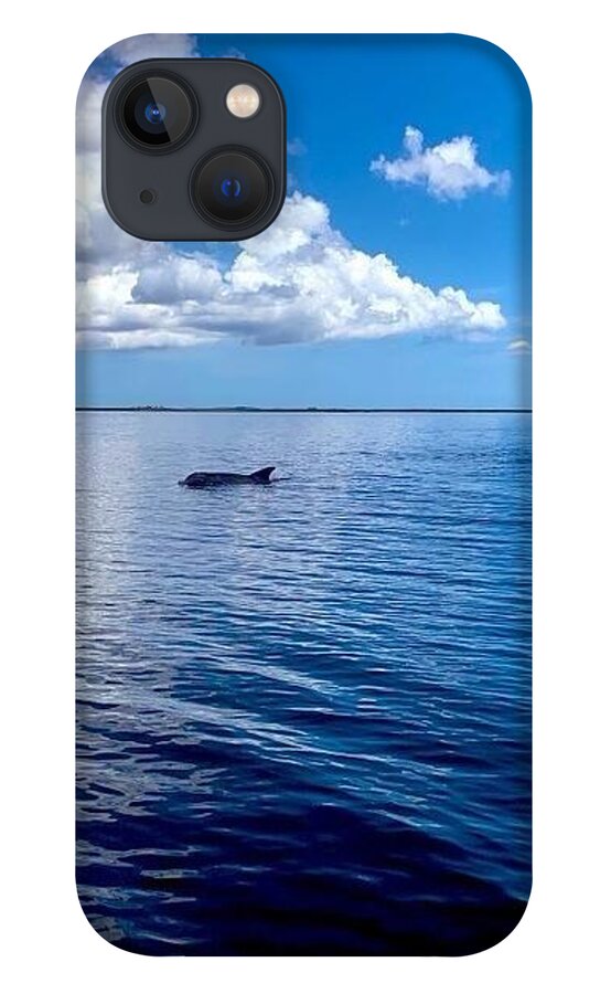 Tranquil Waters with Dolphin - Phone Case