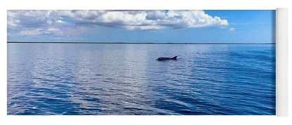 Tranquil Waters with Dolphin - Yoga Mat