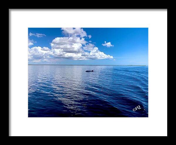 Tranquil Waters with Dolphin - Framed Print
