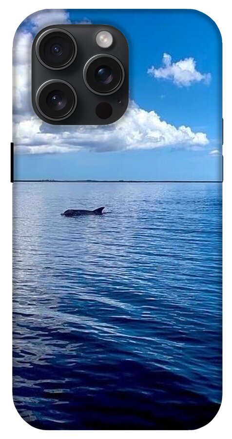 Tranquil Waters with Dolphin - Phone Case