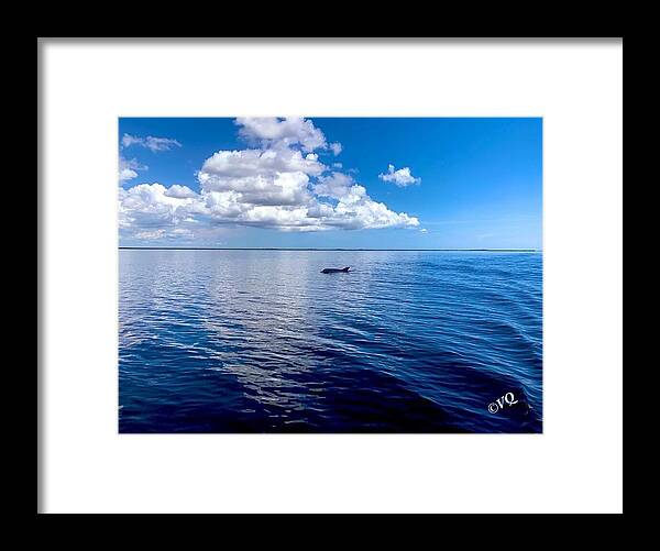 Tranquil Waters with Dolphin - Framed Print
