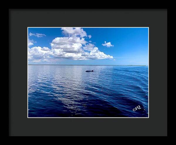 Tranquil Waters with Dolphin - Framed Print
