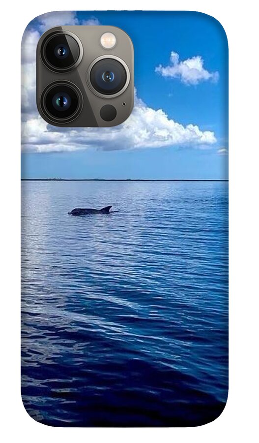 Tranquil Waters with Dolphin - Phone Case