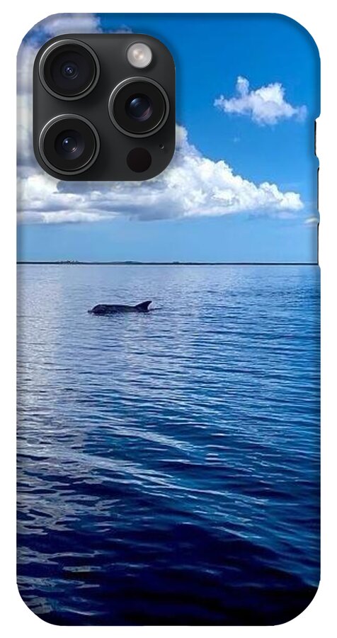 Tranquil Waters with Dolphin - Phone Case
