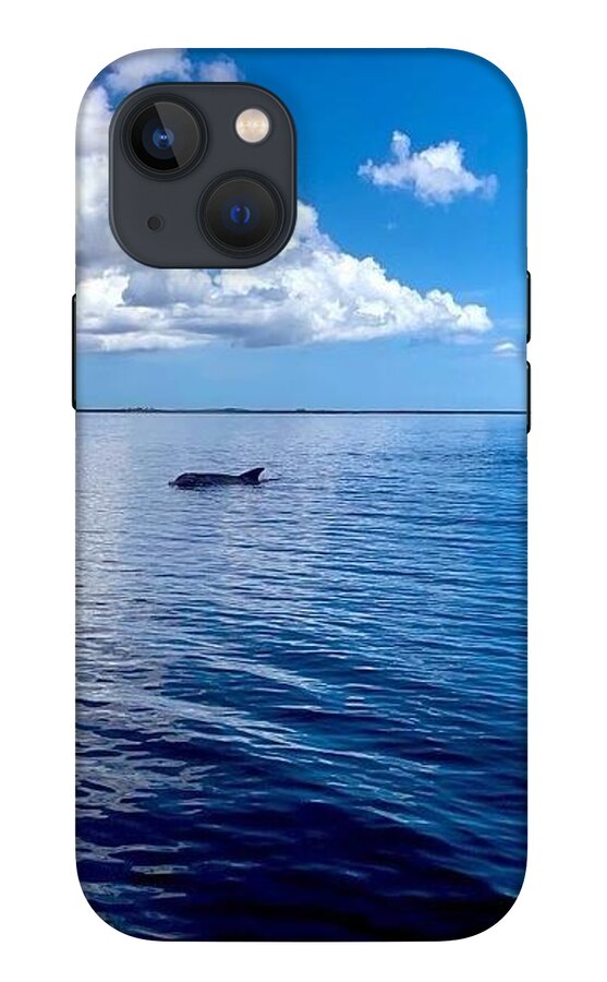 Tranquil Waters with Dolphin - Phone Case