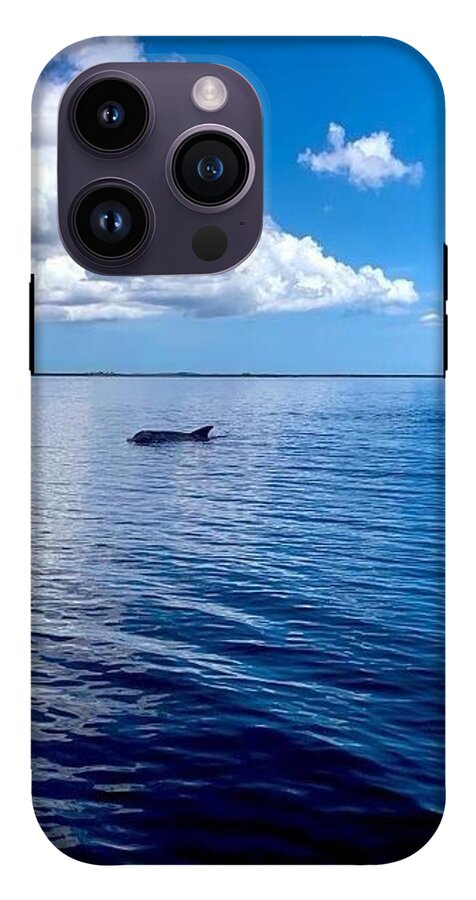 Tranquil Waters with Dolphin - Phone Case