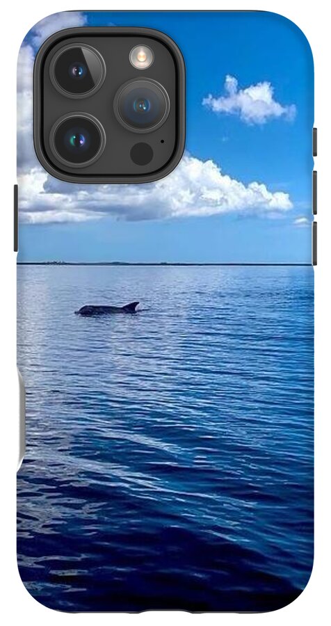 Tranquil Waters with Dolphin - Phone Case